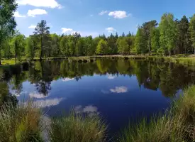 Pluizenmeer